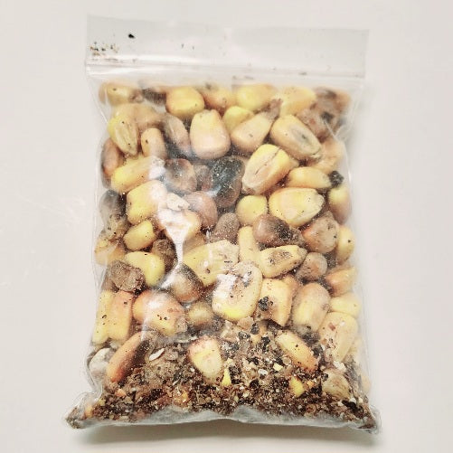 MAIZ TOSTADO/TOASTED CORN