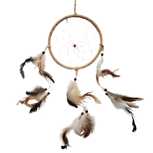 Dream Catcher