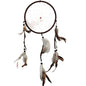 Dream Catcher