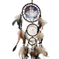 Dream Catcher Wolf