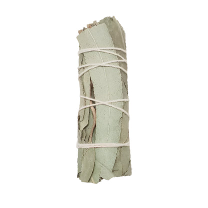 Smudge Sage 4"