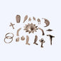 Orisha Tools