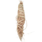 Smudge Sage 4"